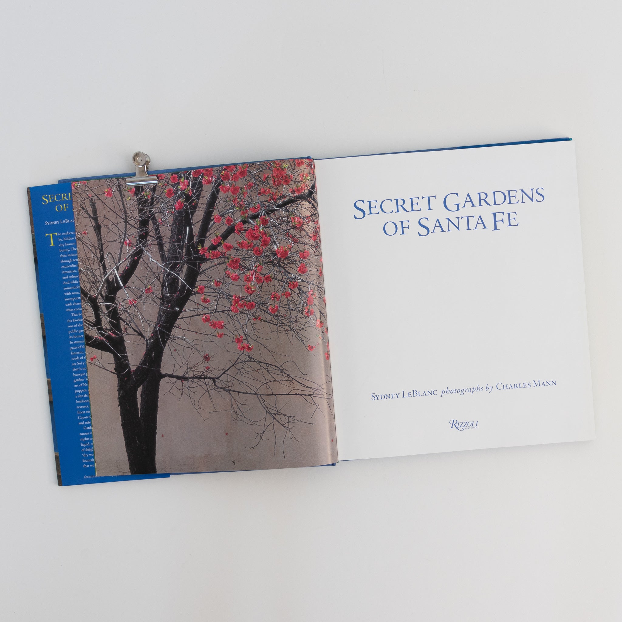 "Secret Gardens of Santa Fe" with Sidney LeBlanc - Homekeep Studio